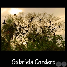 Fotografía de Gabriela Cordero Codas